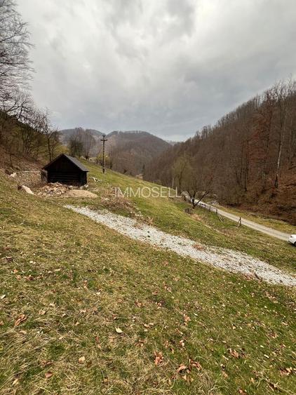 Teren intravilan 1.28ha Remeti–perfect pensiune/cabane, zonă turistica - 7