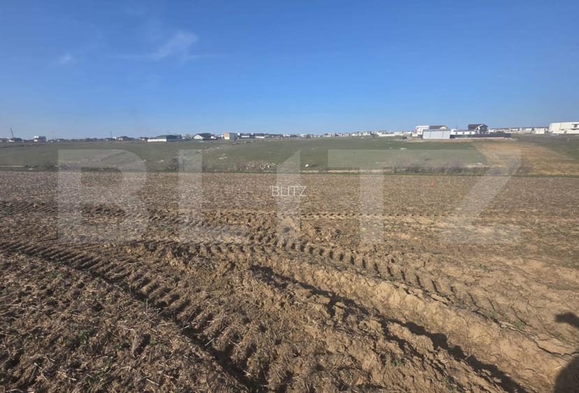 Teren intravilan, 5000 mp, zona Selgros, Preajba - 3