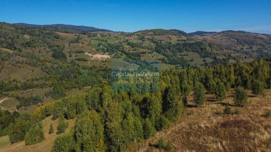 Comision 0% teren intravilan 1000 mp, PUZ, priveliste, Baisoara - 8