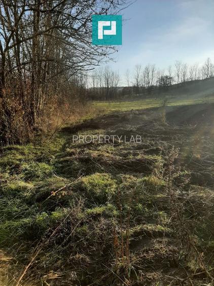 Teren intravilan în Ususău - 3