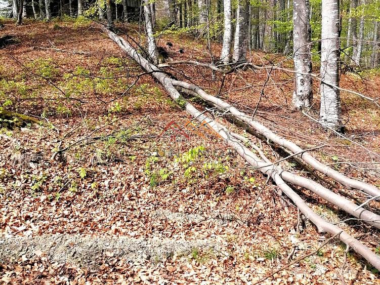 Teren Extravilan 23.000 mp | Valea Doftanei-Secăria | 11 €/mp - 5