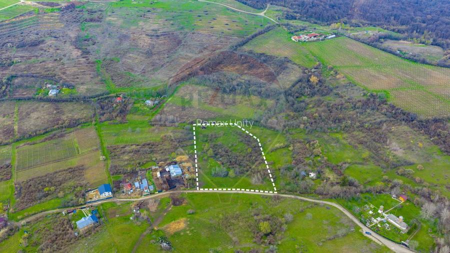 Teren 33.500 mp-Valea Orlei, Prahova/ COMISION 0% - 13