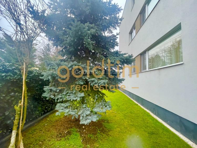 SUPERB/SUPRAFETE GENEROASE/2 BAI/ GRADINA SI TERASA 80 Mp - 4