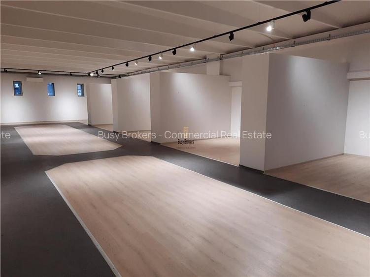 Spatii Comerciale - 500 mp - Showroom - Comert - 24