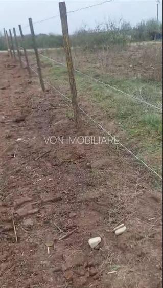 Teren de vanzare Comuna Comana-Giurgiu - 5