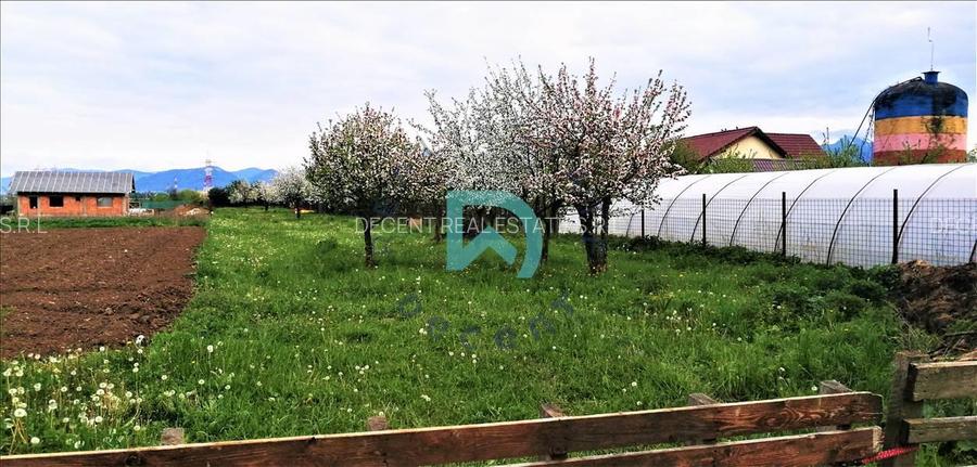 Vanzare teren intravilan, Sanpetru, Livada - 2