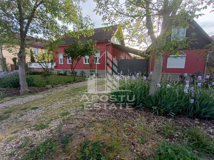 Casa individuala la sat, 5 camere, in Voiteg, judetul Timis - 15