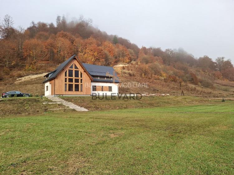 Proprietate cu potențial turistic în zona montană a Țării Lăpușului - 34