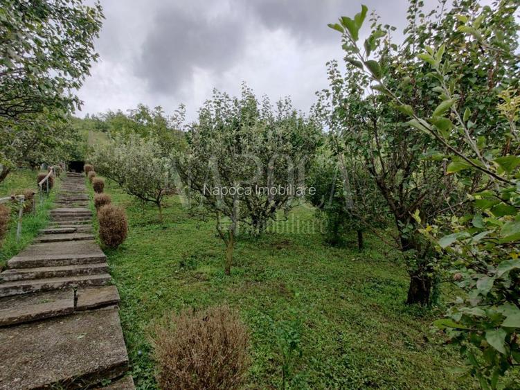 Casa 10 camere de vanzare in Grigorescu, Cluj Napoca - 5