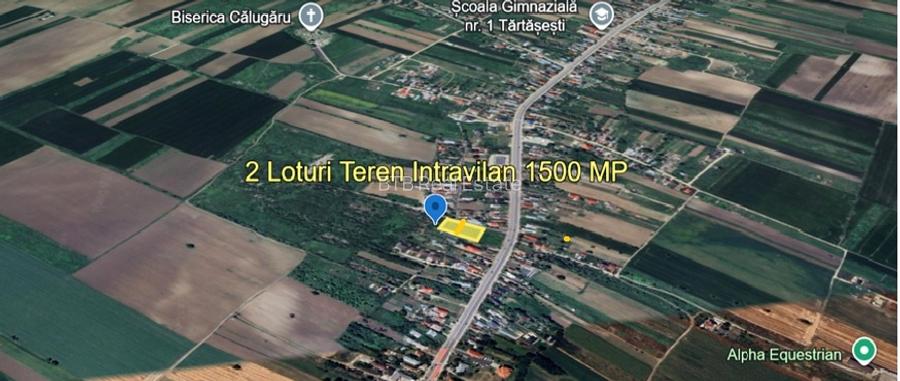 2 Loturi Teren Intravilan 1500 MP Tartasesti Deschidere 30 M / 36 M Utilitati - 2