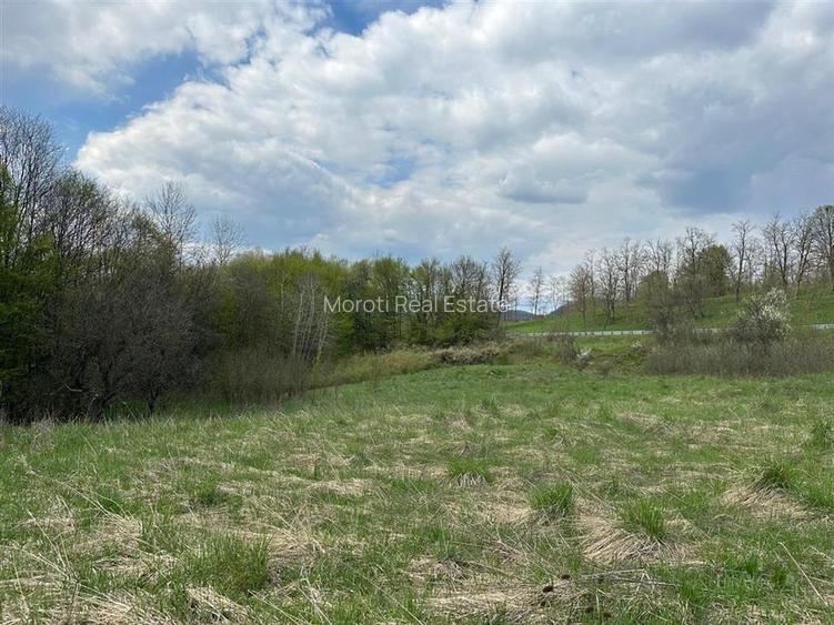 Terenuri extravilane in Luncoiu de Sus, Hunedoara - 2