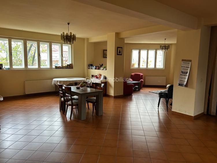 Vila 2008 str Ana Ipatescu - 8