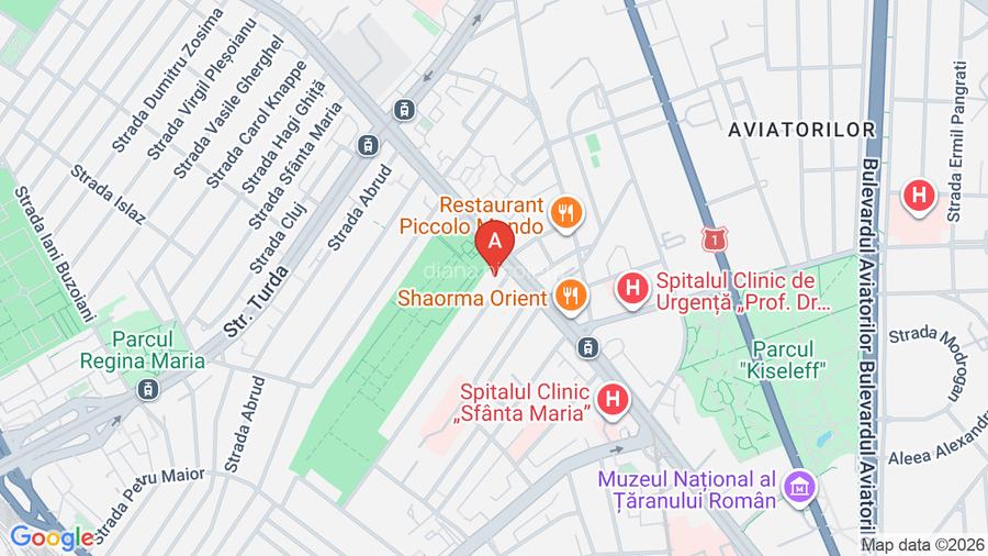 Garsoniera Ion Mihalache- Kisseleff- Victoriei- Basarab - 13