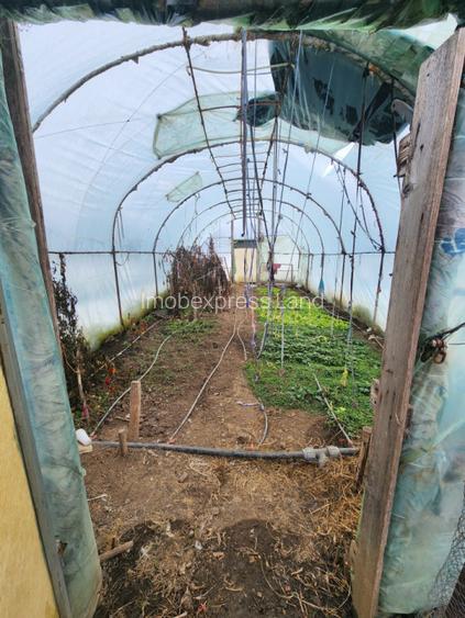 Comision zero vand casa noua la Biled - 7