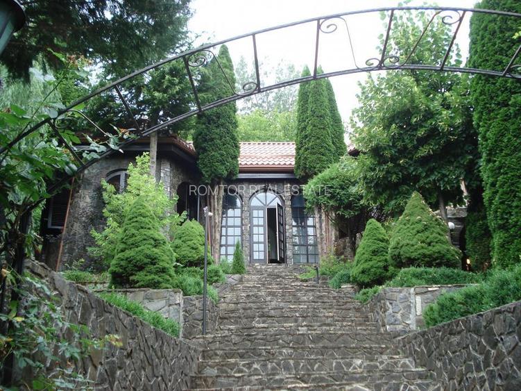 Campina Valea Doftanei Sotrile Paltinu - 23