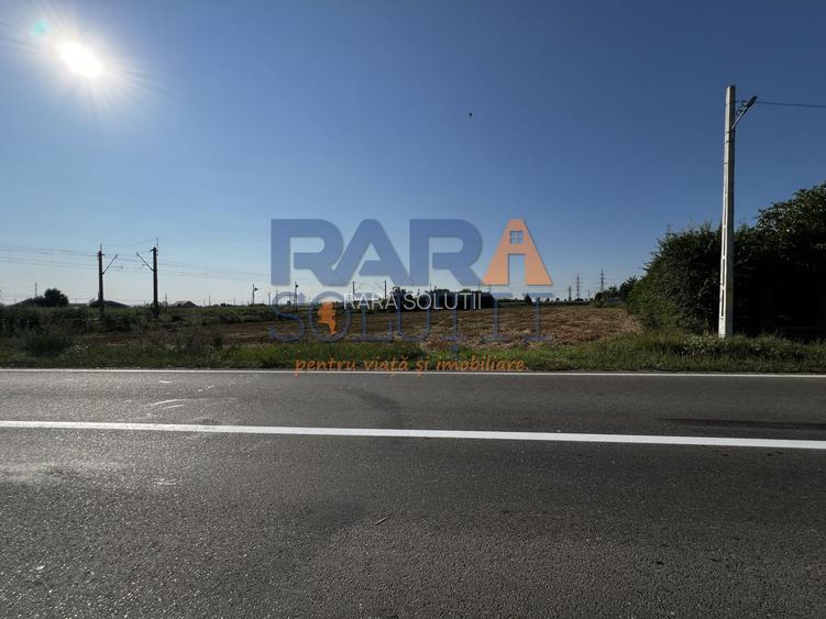 Teren între Cordun și E85 - 2