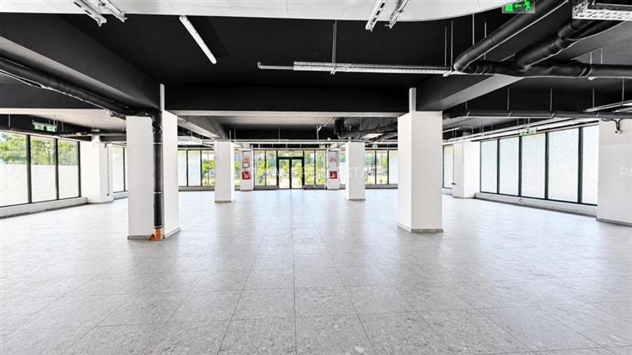 Spatiu Comercial Showroom 425mp Himson Aurel Vlaicu - 3
