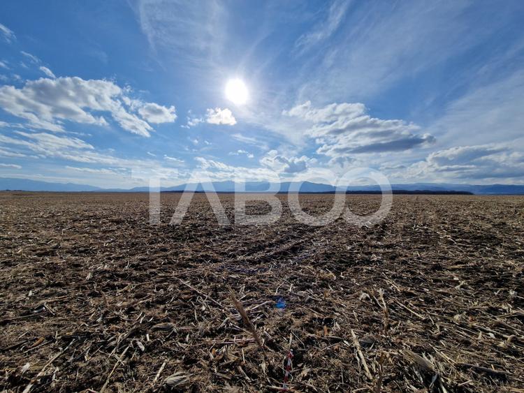Teren arabil de vanzare   extravilan 5950mp zona Sopa  Selimbar
