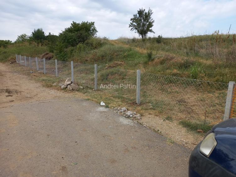 Teren agricol, 1HA, Marsa, Giurgiu - 2