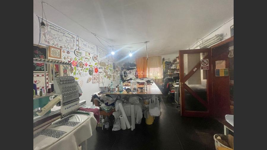 Casa cu garaj in Calnic, 231 mp construiti - 9