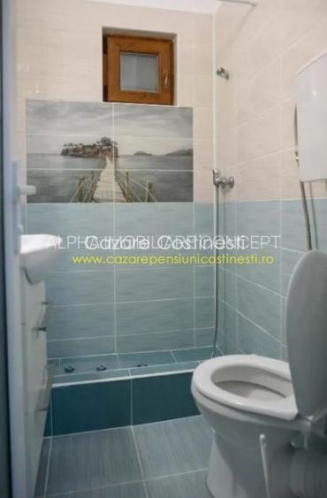 PENSIUNE 8 UNITATI DE CAZARE - COSTINESTI - 20