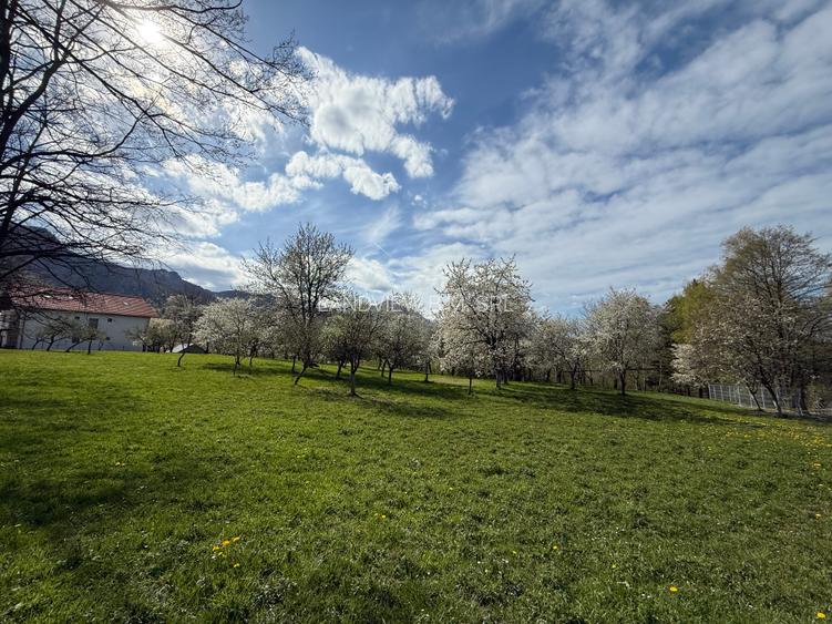 Teren intravilan 763 mp in zona Bran-Tohanita,judetul Brasov - 12