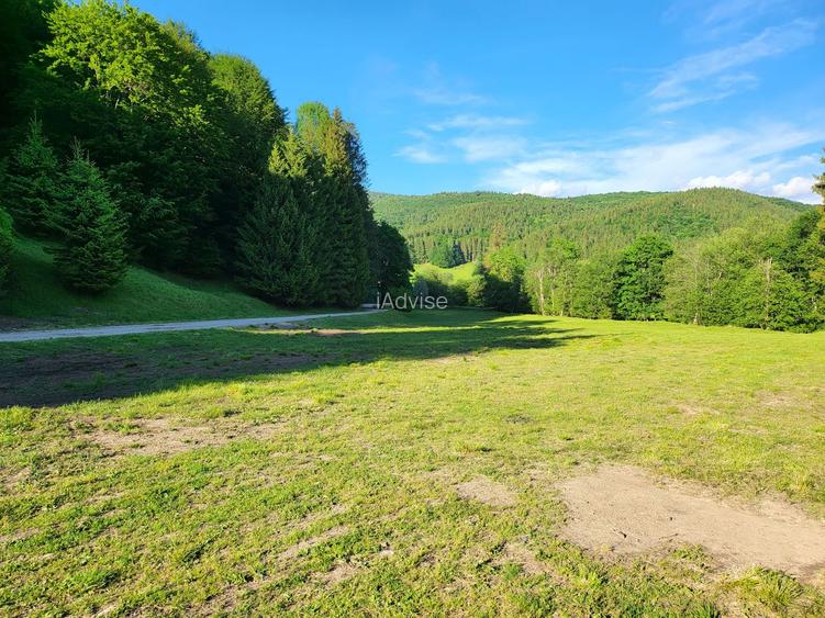 Teren de 12.000 mp la Vama Buzăului – Locație de Vis cu PUZ Aprobat - 10