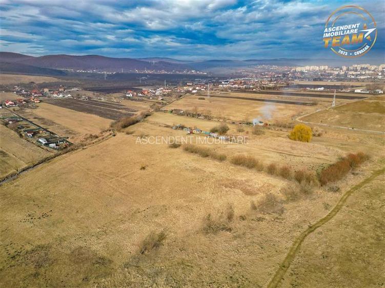Teren extravilan de 5.800 mp in Sfantu Gheorghe:oportunitate Investie/Exploatare - 5