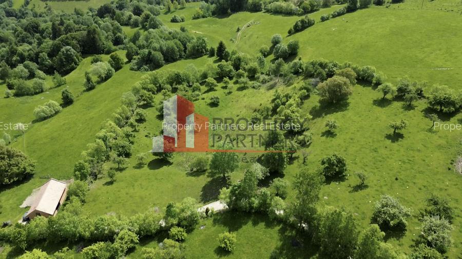 Teren Sohodol 5000 mp - 2