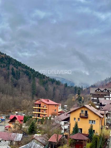 Green Future Sinaia//Studio cu priveliste catre Muntii Baiului - 6