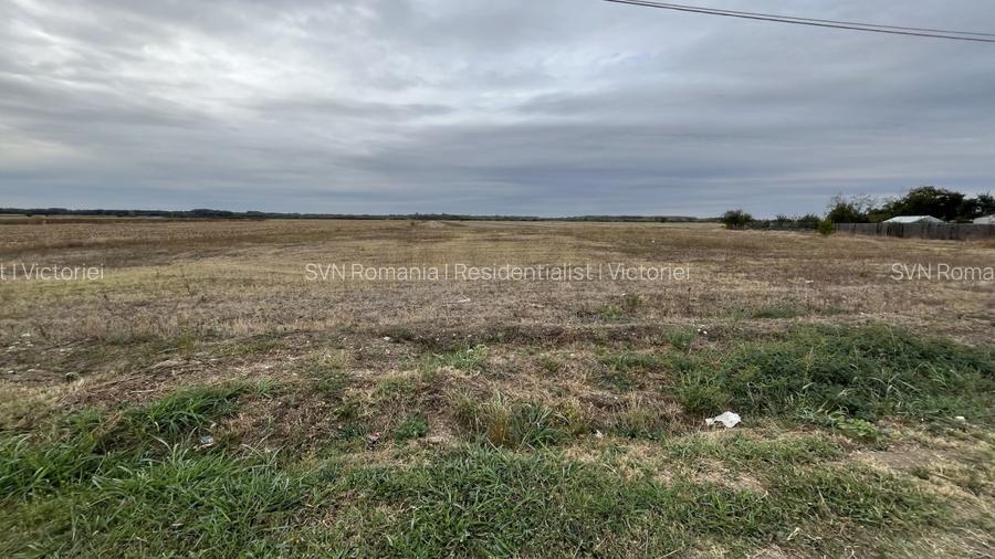 REL4001268 Teren extravilan padure 6000 euro vizavi Insula Crabilor - 4