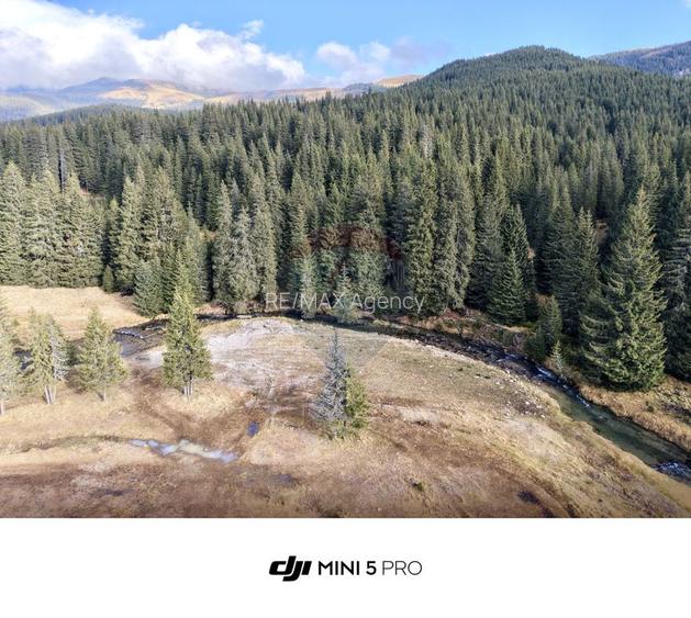 Teren de vanzare - 5000 mp - Peștera Padina - 4