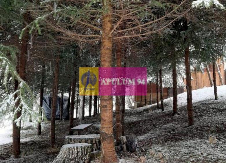 Casă de vânzare în Provița de Jos - 52