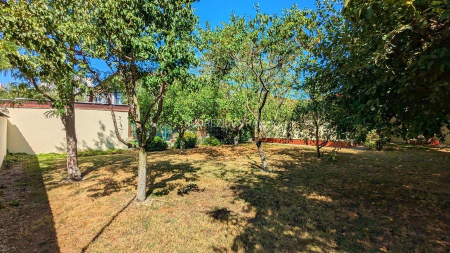 Vila in zona Berceni-Grand Arena, P+1+M, cu 1500 mp teren - 19