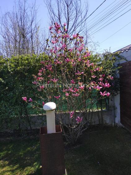 Vanzare vila deosebita mobilata si utilata Corbeanca - 56