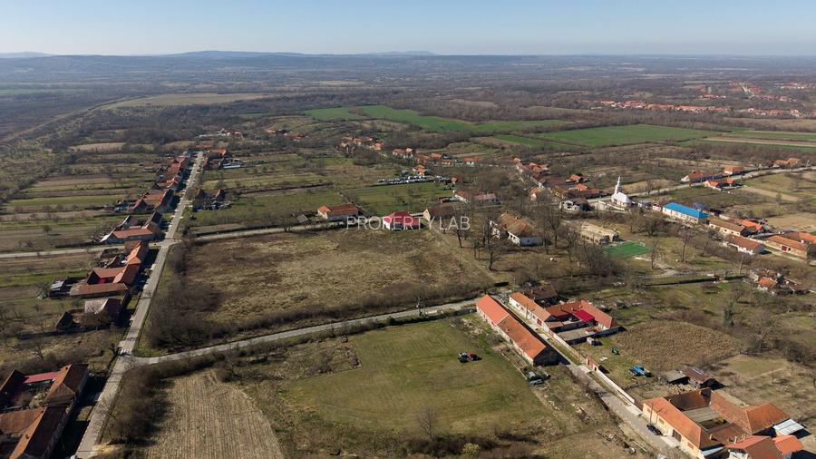 Conac nobiliar de secol XIX cu 8 camere în Maciova - 13