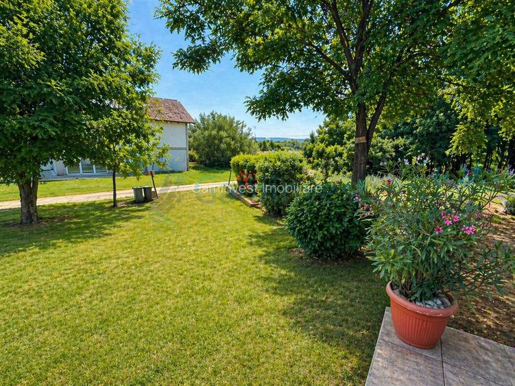 Casă spațioasă, 400 mp utili, teren 1650 mp, dublu front – Paleu, Bihor - 10