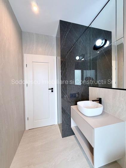 PROIECT DEOSEBIT ZONA LIPOVEI - 6