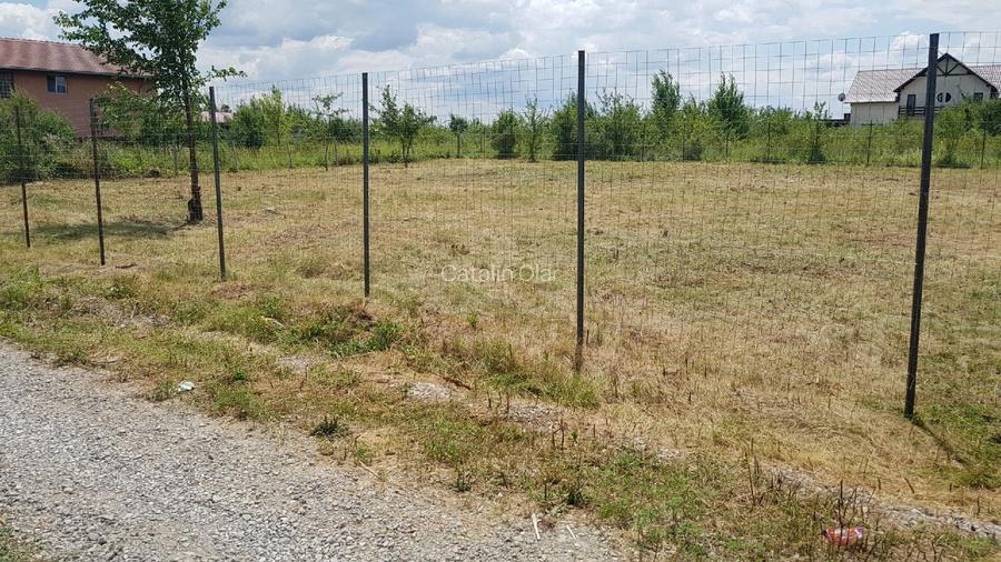 Teren intravilan de vânzare, Mogoșoaia Str. Garoafelor, 1.365 mp, Deschidere 39m - 2