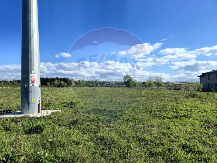 Teren 2,786mp Sighetu Marmatiei / Strada Zimbrului - 4