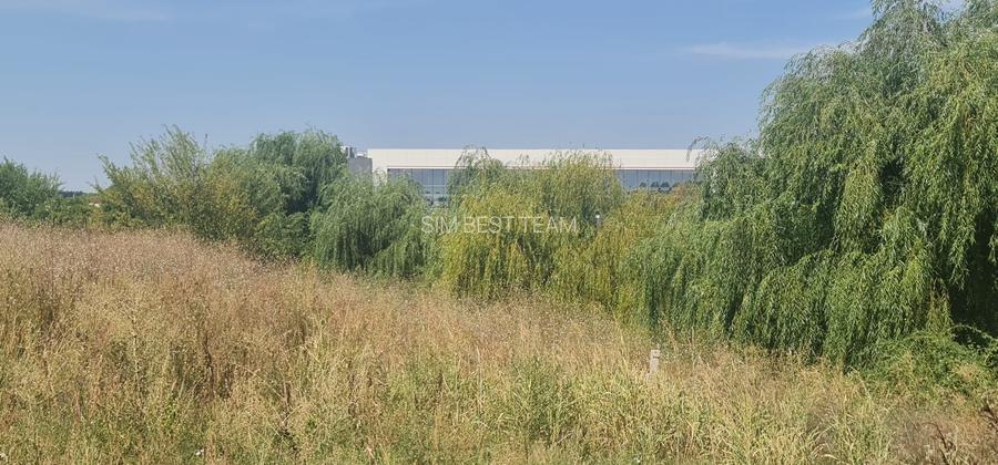 Teren Corbeanca Tamasi vsv de Paradisul verde 16000 mp deschidere lac - 5