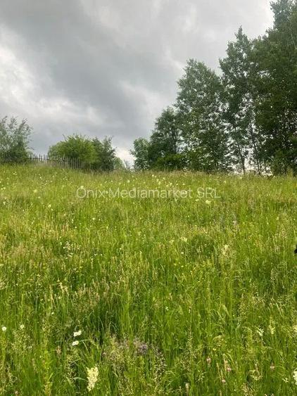 TEREN DE VANZARE VALEA DOFTANEI - 2