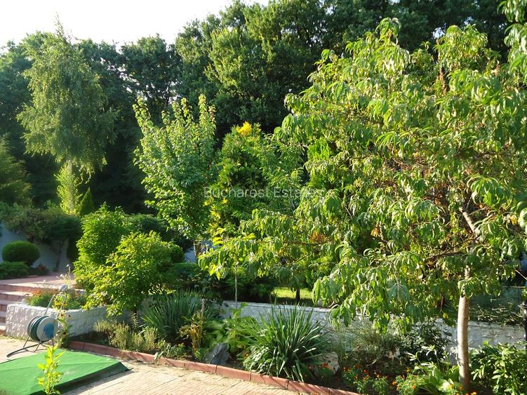 Vila piscina superba gradina matura cu iesire directa la padure - 30