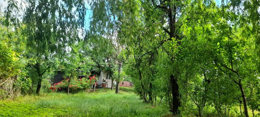 Casa de vanzare sat Manastioara, com. Fitionesti, jud. Vrancea,  - 5