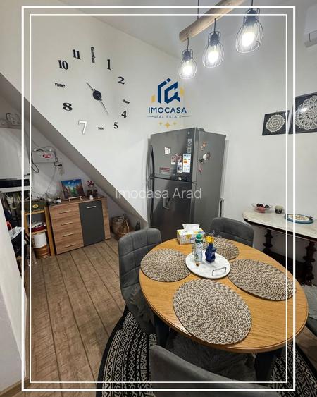 Vila renovat de vanzare D+P curte proprie 774 mp, semicentral Arad - 20