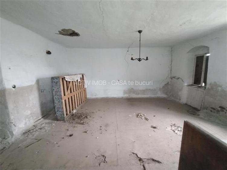 Iecea Mare - Timis, Casa cu Gradina, 1800mp Teren, Pret Negociabil - 21