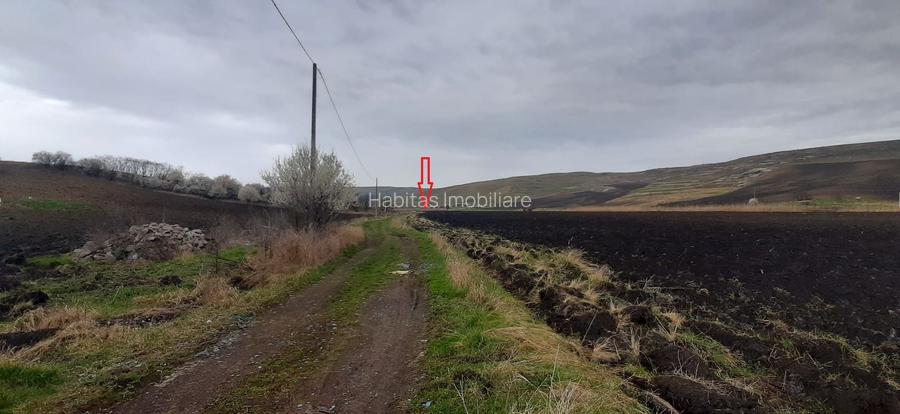 Teren agricol pentru investitii, zona Valea Calda -Iris - 3