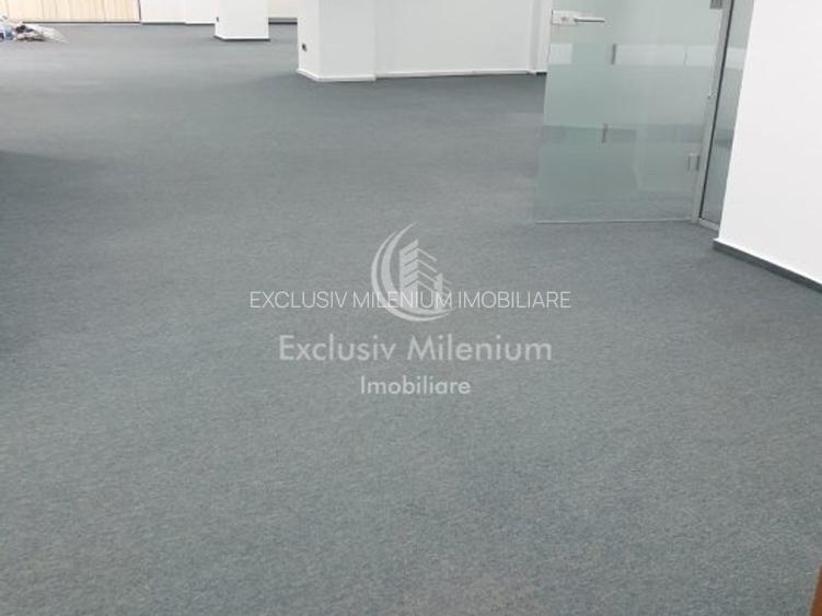 Parter Spatiu Birouri Brilliant Condominum -Popa Tatu Piata Victoriei - 4