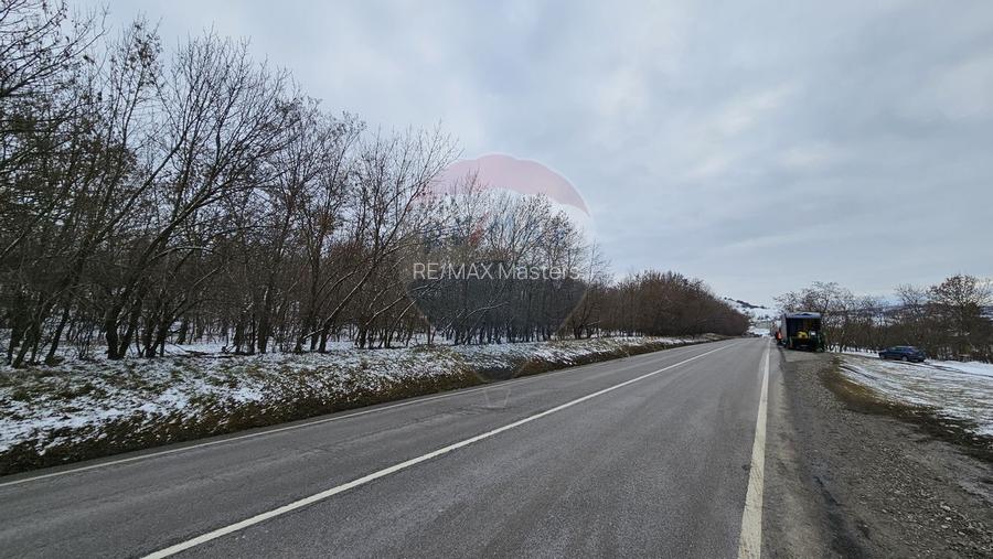 Teren 10,000mp Radaseni / Soseaua DN2-E85, judetul Suceava - 2