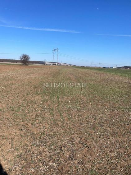 Vanzare | Teren Intravilan 5000 mp | Str. Viitorului | - 3